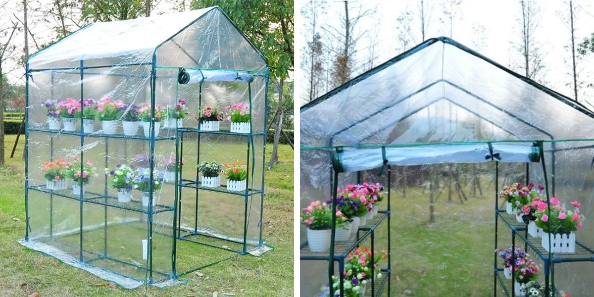 Greenhouse, Canopy, Outdoor structure, Yard, Shade, Garden, 