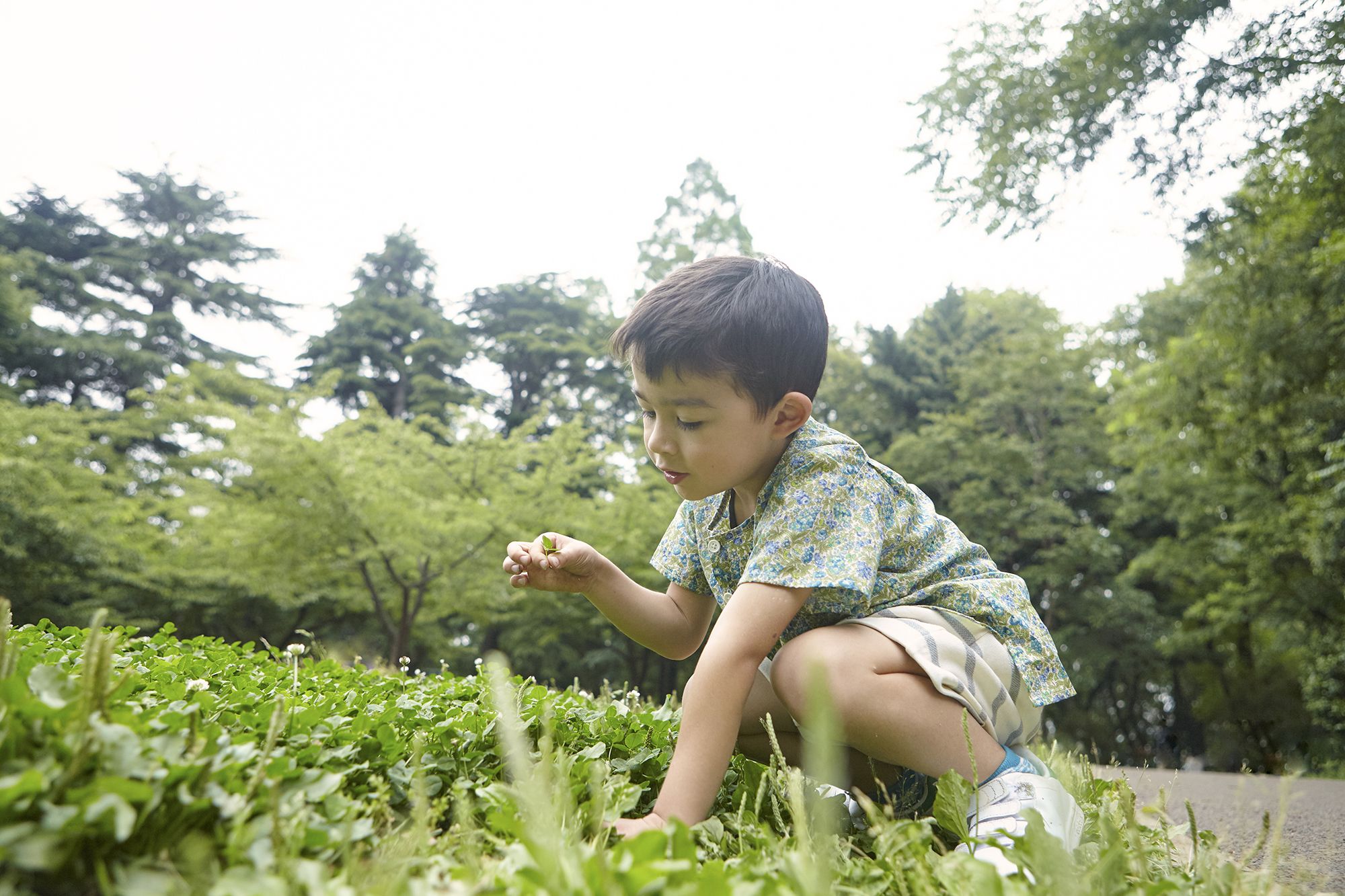 15 Fun Things to Do on St. Patrick's Day With Kids Page 2 - Covered Goods,  Inc.