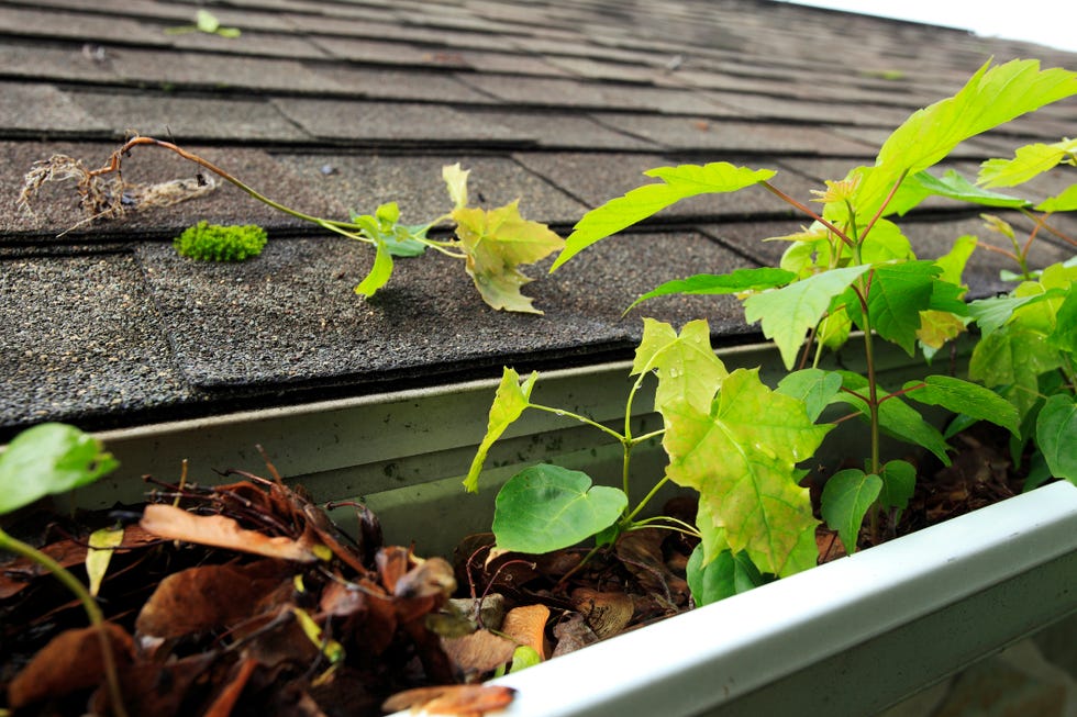ways to get your home ready for winter