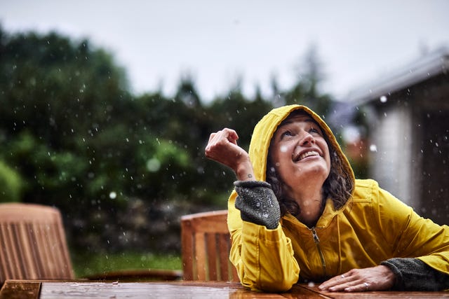 ways to save your garden from heavy rain