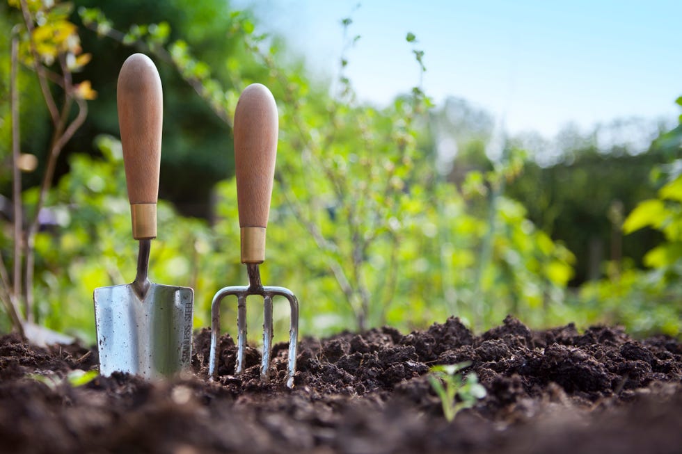 ways to save your garden from heavy rain