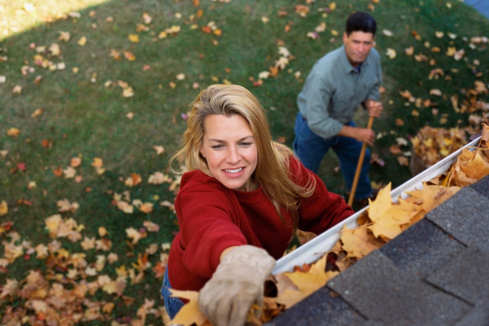 ways to save your garden from heavy rain