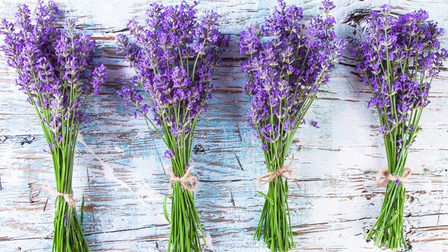 lavender crafts and recipes