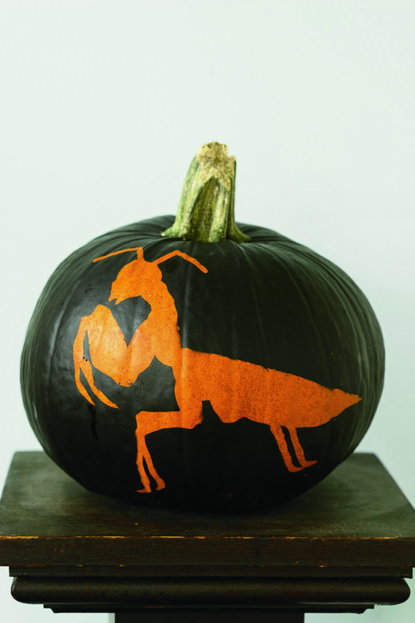 turkey pumpkin stencil