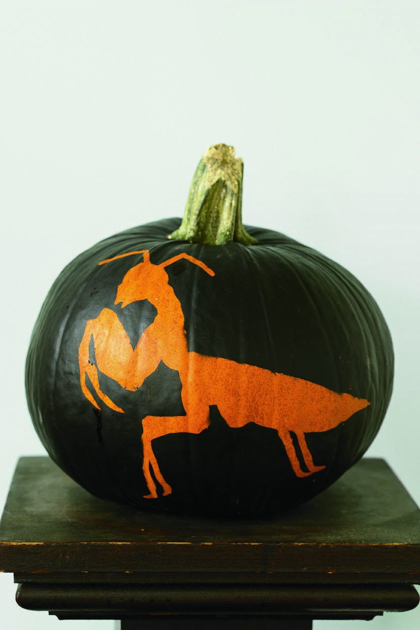 pumpkin carving stencils preying mantis stencil