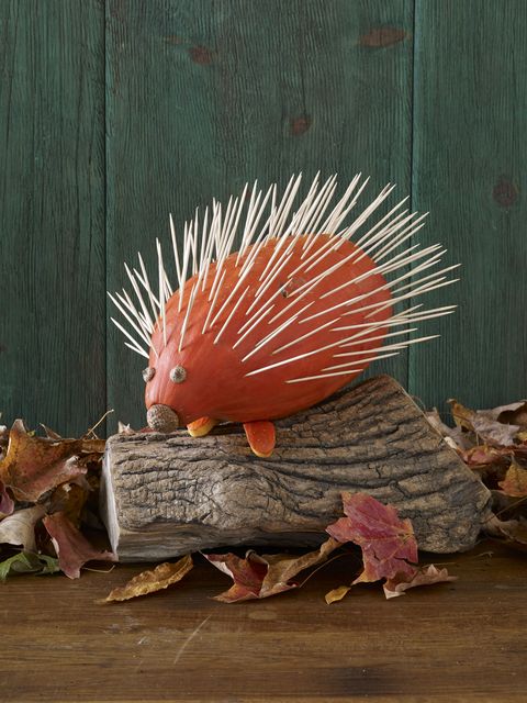pumpkin decorating ideas toothpick hedgehog pumpkin