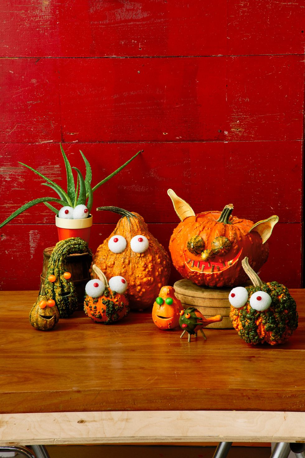 pumpkin carving ideas gourd family