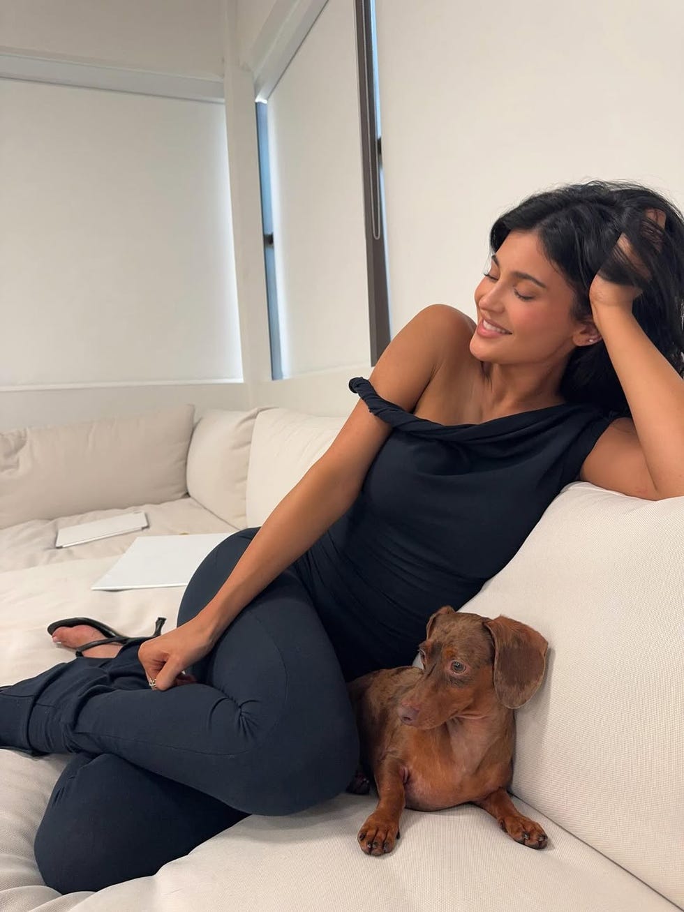 a seated person in casual attire with a dachshund on a couch