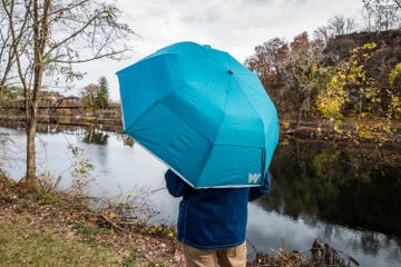 best umbrellas weatherman collapsible umbrella