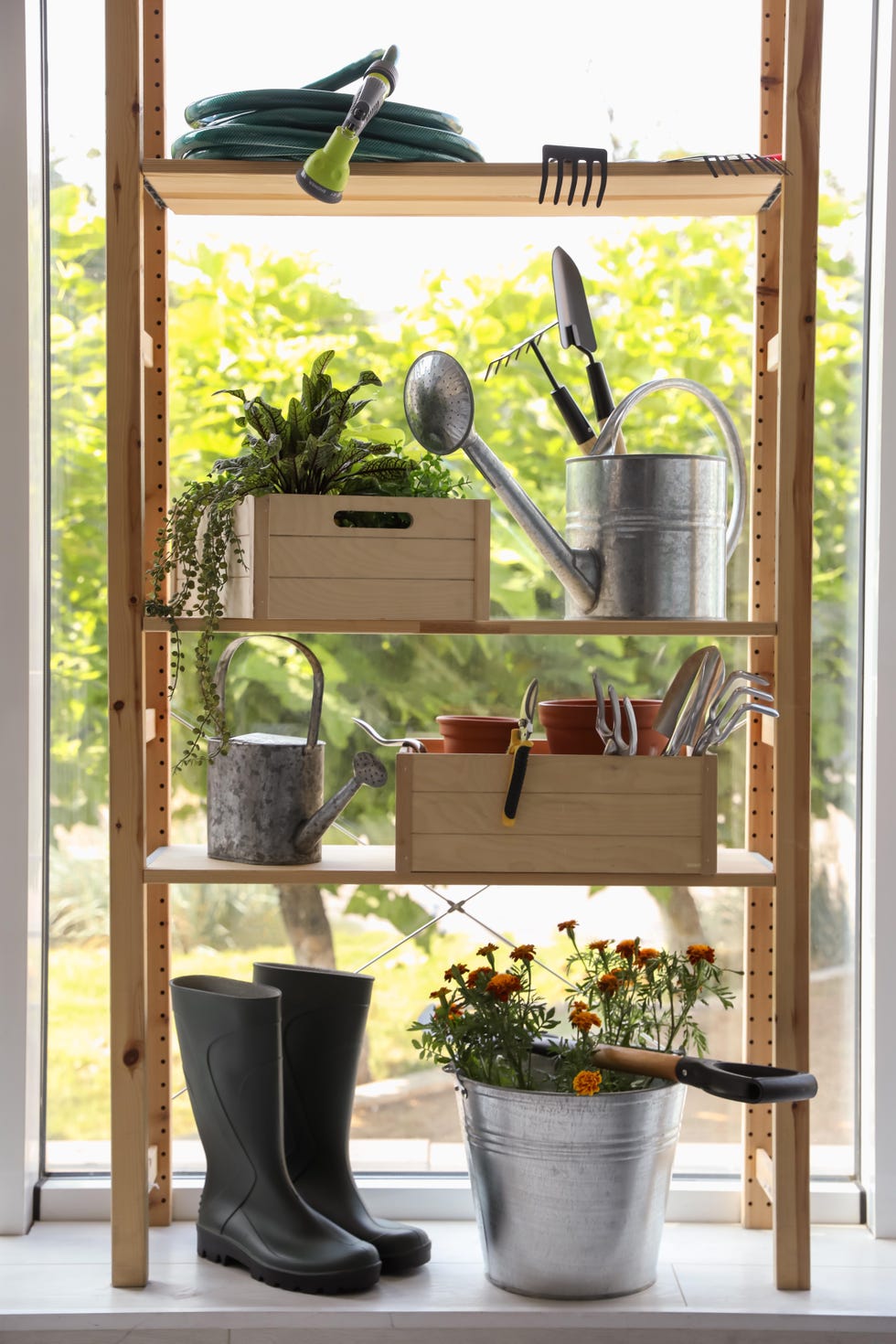 beautiful plants and gardening tools on rack indoors