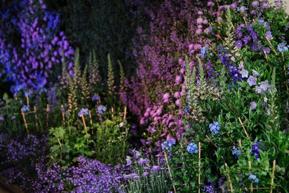 The 'Per oculus apum' installation in The Tunnel at RHS Chelsea Flower Show 2019.