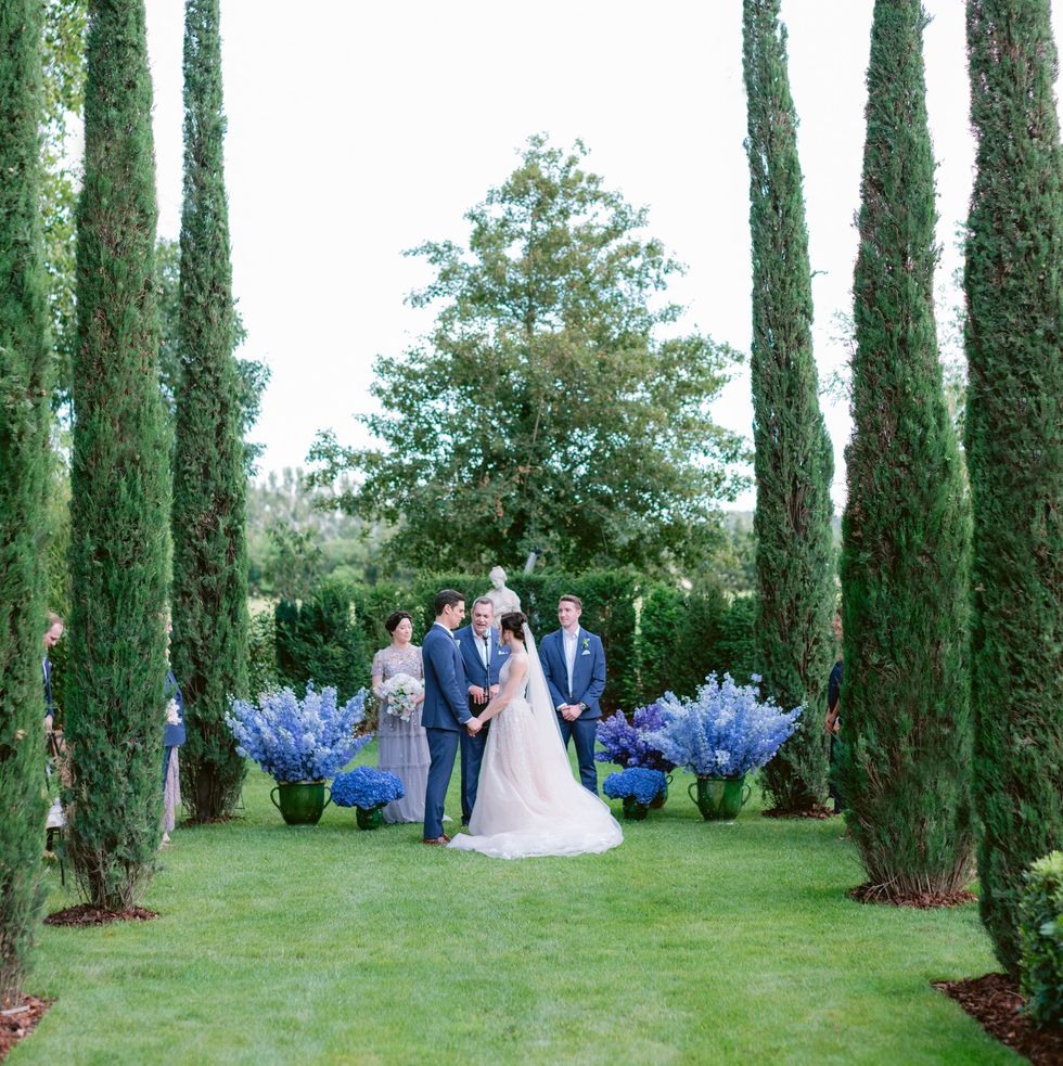 Photograph, Tree, Ceremony, Plant, Dress, Botanical garden, Wedding, Garden, Event, Cypress family, 