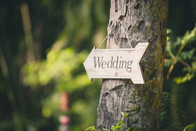Wedding ideas