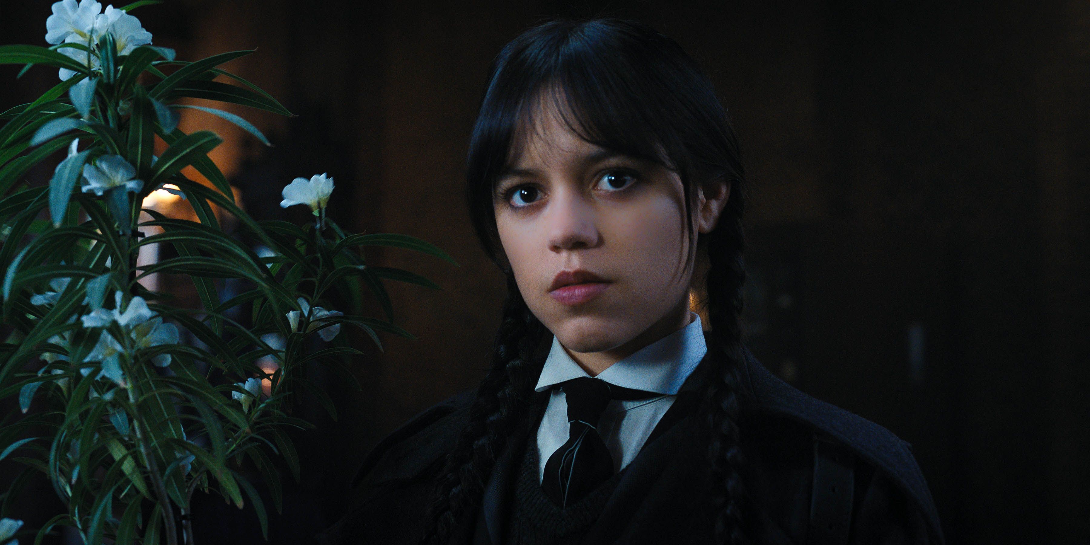 Tim Burton casts Wednesday in Addams Family Netflix series