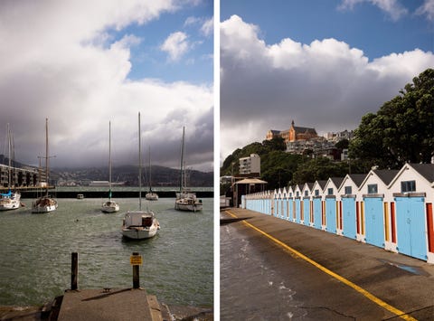 Je kunt Wellington te voet op een huurfiets of op gehuurde skates verkennen Ook kun je de zee voor de promenade bevaren in een kajak of een waterfiets
