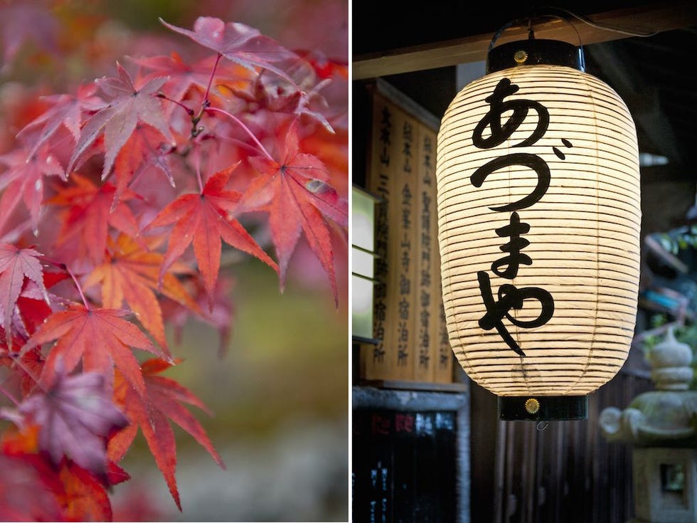 Linkerfoto In de herfst kleurt de Japanse esdoorn prachtig rood Rechterfoto Een lampion verlicht de ingang van Ryokan Azumaya in onsen Yuomine