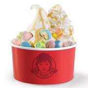 wendy's marshmallow charms, chocolate lovers, and classic strawberry frosty sundes