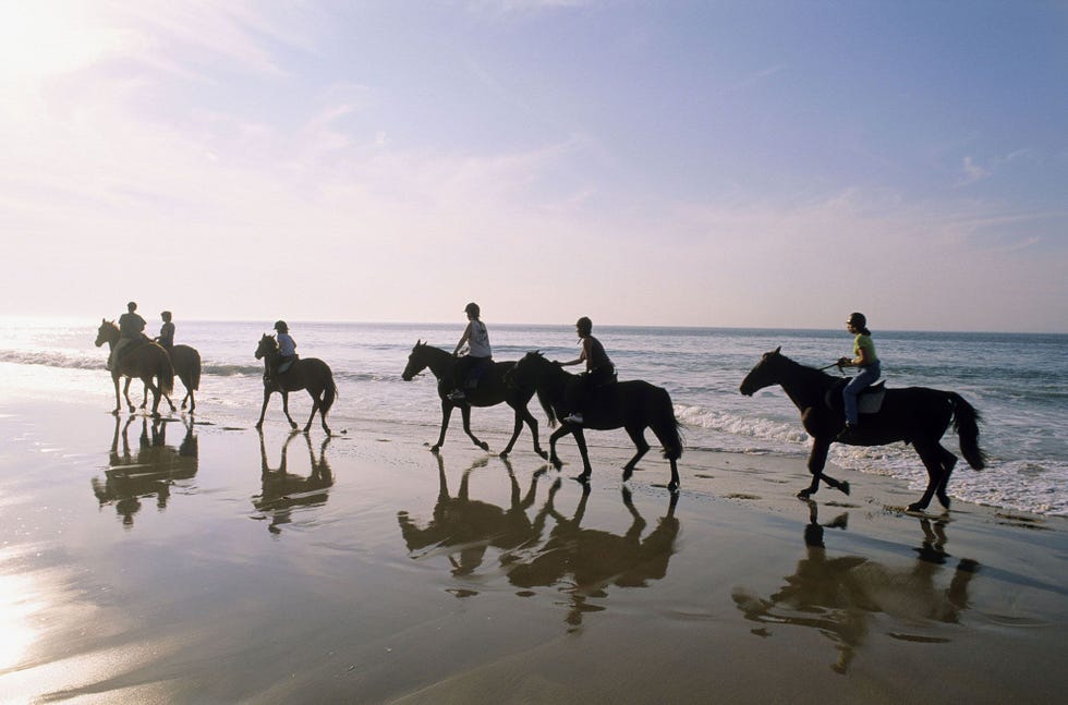 Ruiters te paard rijden over een strand aan de Atlantische Oceaan op het le de R een eilandje voor de kust van La Rochelle