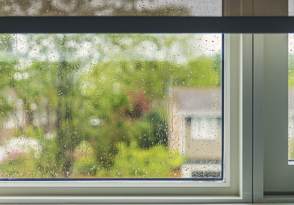 濡れた窓