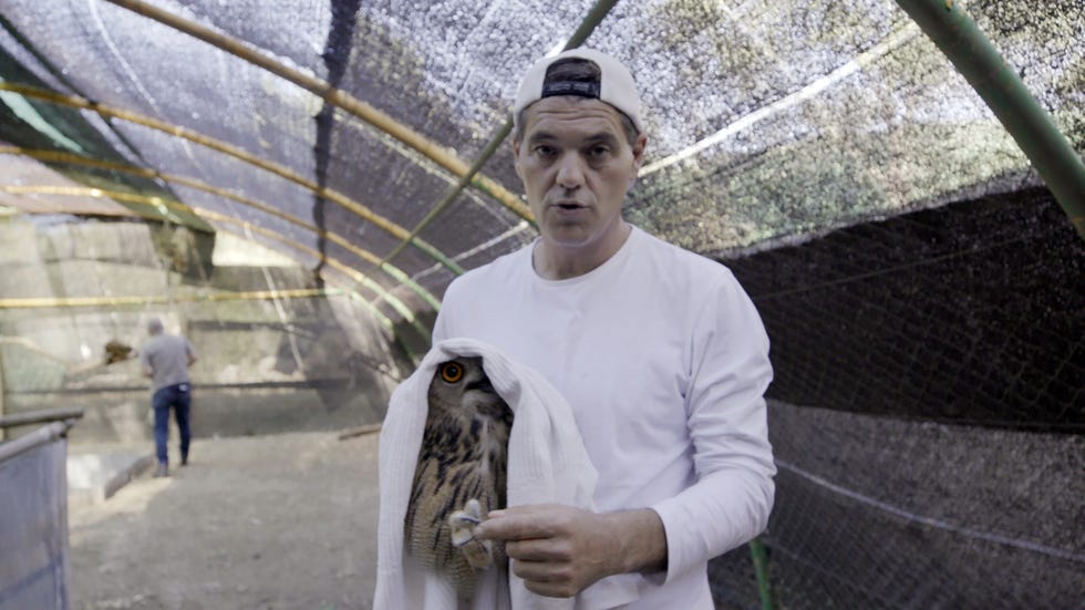 wild frank-el legado de felix