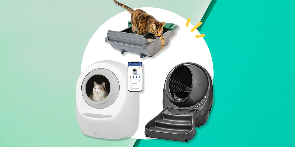 Shops self cleaning litter box 2018