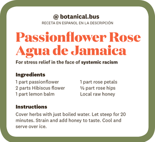 passionflower rose agua de jamaica recipe for stress relief in the face of systemic racism
1 part passionflower 
2 parts hibiscus flower
1 part lemon balm
1 part rose petals
1 half part rose hips
local raw honey

instructions
cover herbs with just boiled water let steep for 20 minutes strain and add honey to taste cool and serve over ice