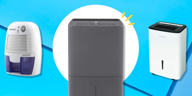 https://hips.hearstapps.com/hmg-prod/images/wh-index-2000x1000-dehumidifiers-1621457046.jpg?crop=0.502xw:1.00xh;0.250xw,0&resize=640:*