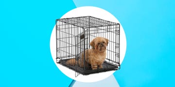 dog crate