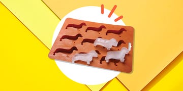 ice tray