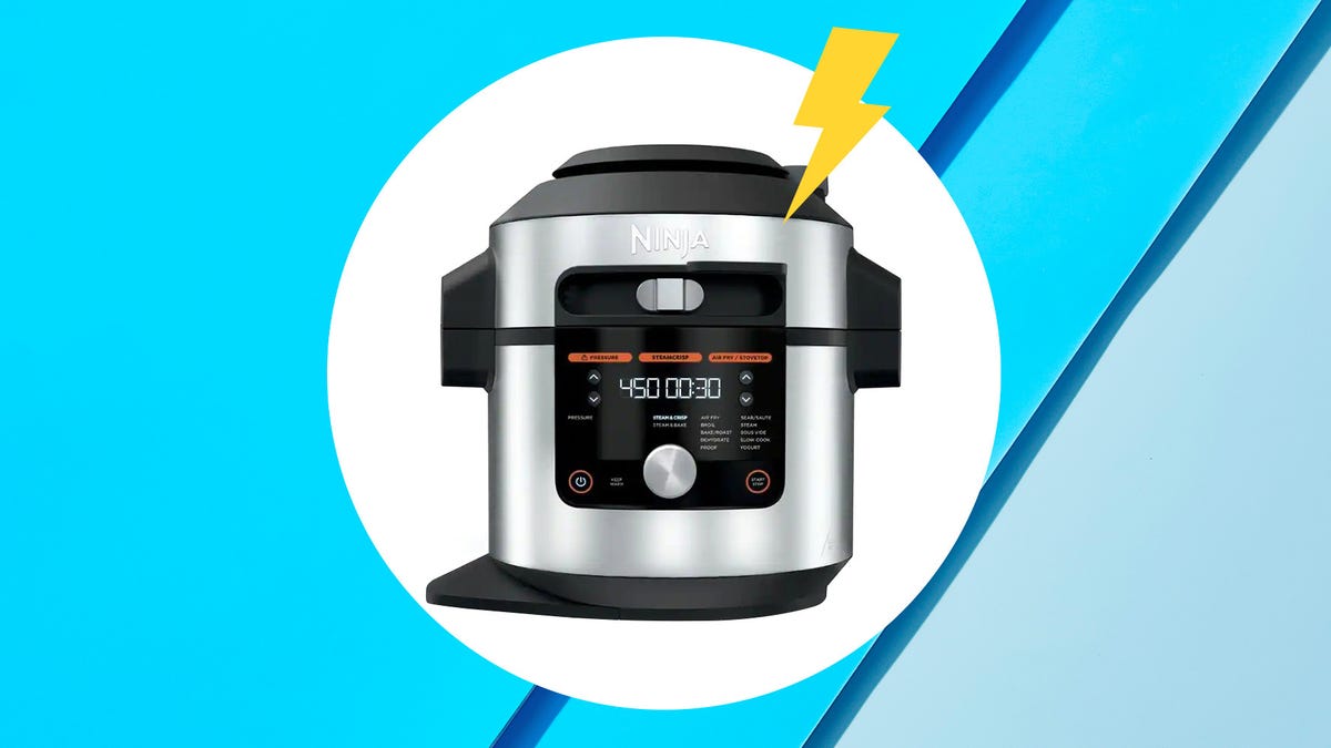 I Tried The Ninja Foodi Pressure Cooker Steam Fryer: Review