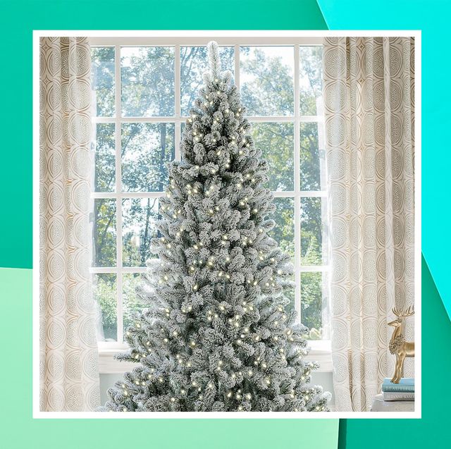 Buck traditional and choose from these five alternative holiday trees