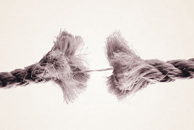 Fur, Feather, Drawing, Hand, Wing, Textile, Photography, Tail, Illustration, Ear, 