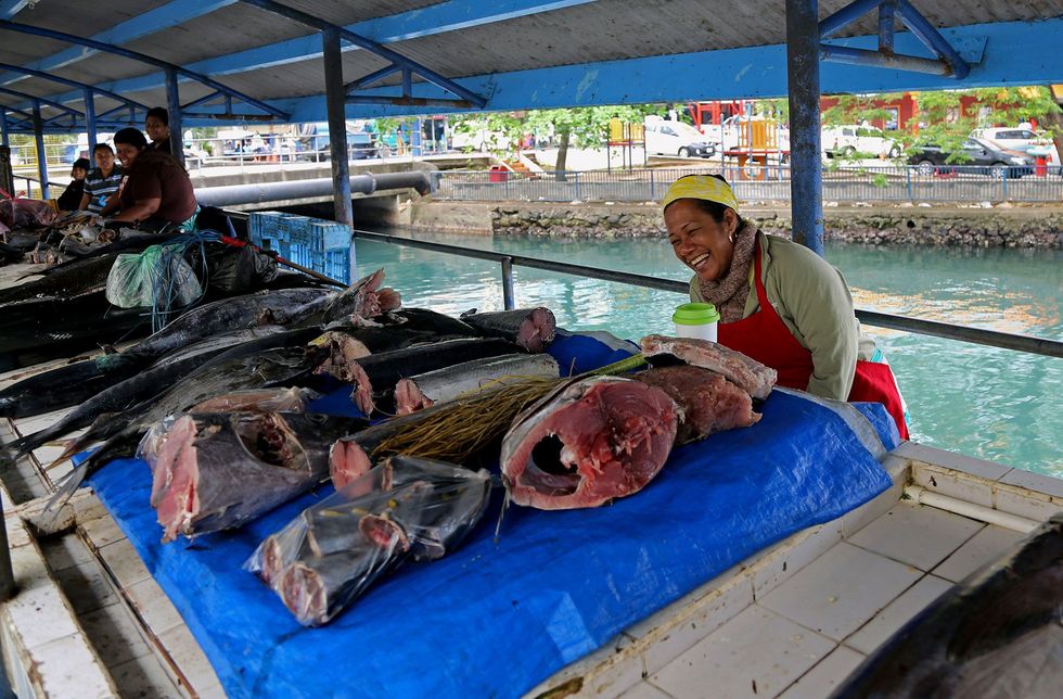 Een vrouw verkoopt vis op een markt in Suva de hoofdstad van Fiji Dankzij haar Explorerbeurs is Erin Spencer van Florida naar Fiji gereisd om onderzoek te doen naar de creatieve manieren waarop mensen en gemeenschappen in hun eigen omgeving invasieve soorten bestrijden