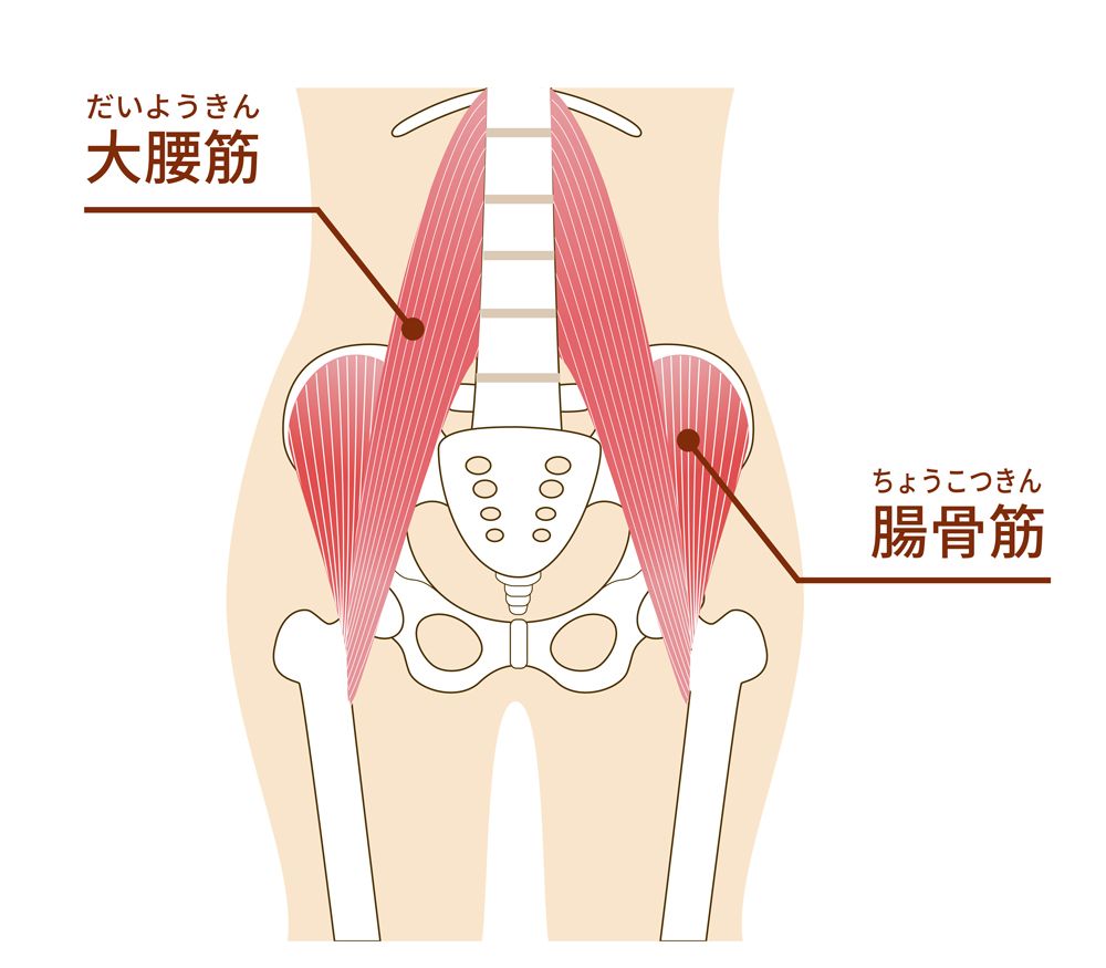 腰周りの筋肉を強化し、腰痛緩和を目指す自重トレーニング5種目