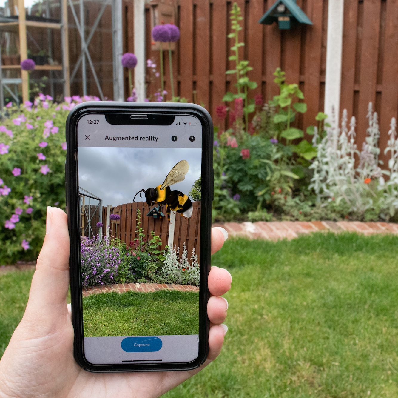bumblebee conservation launches clever app