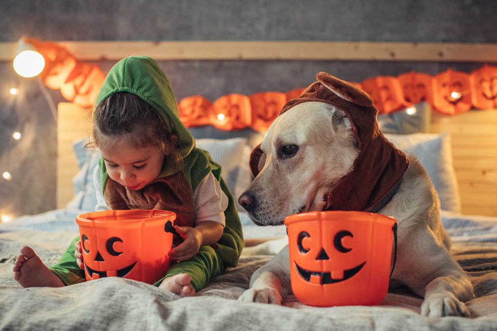 What Time Does TrickorTreating Start in 2023?