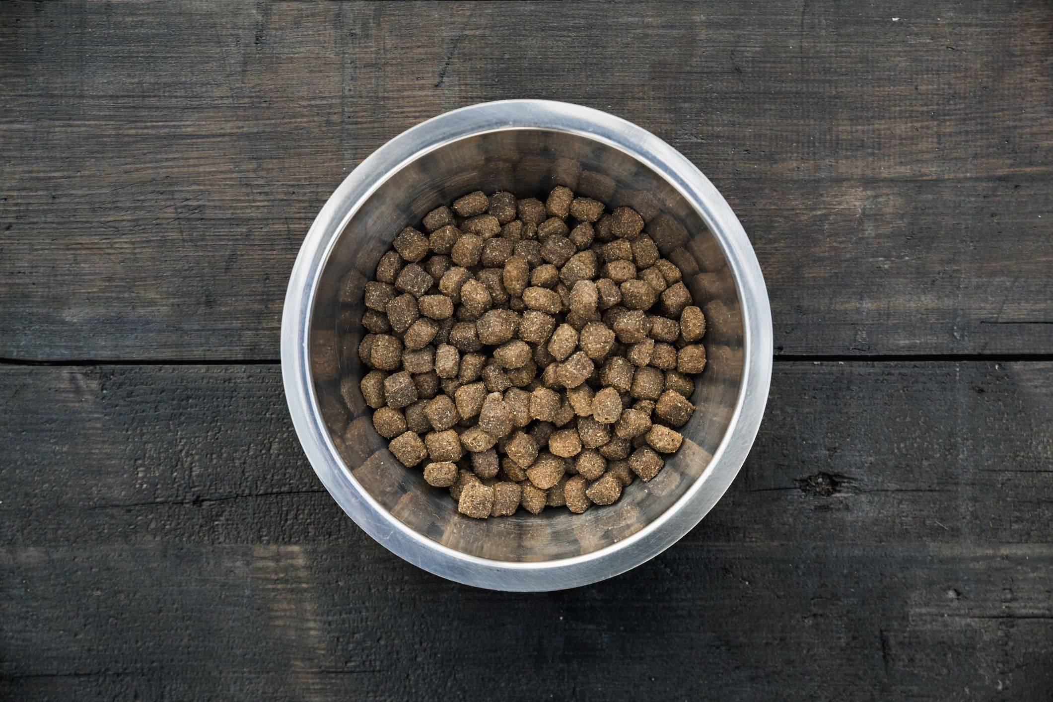 Dog food outlet in bulk online