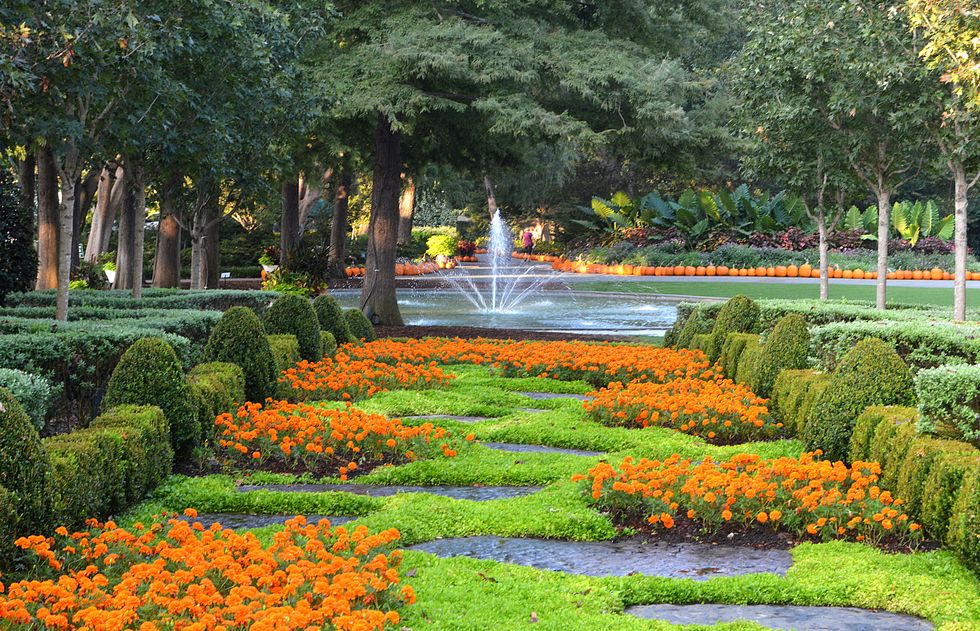 what to do in dallas dallas arboretum and botanical gardens in fall