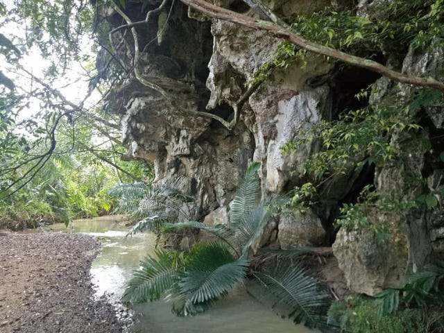 malaysia gopeng ashraf search area