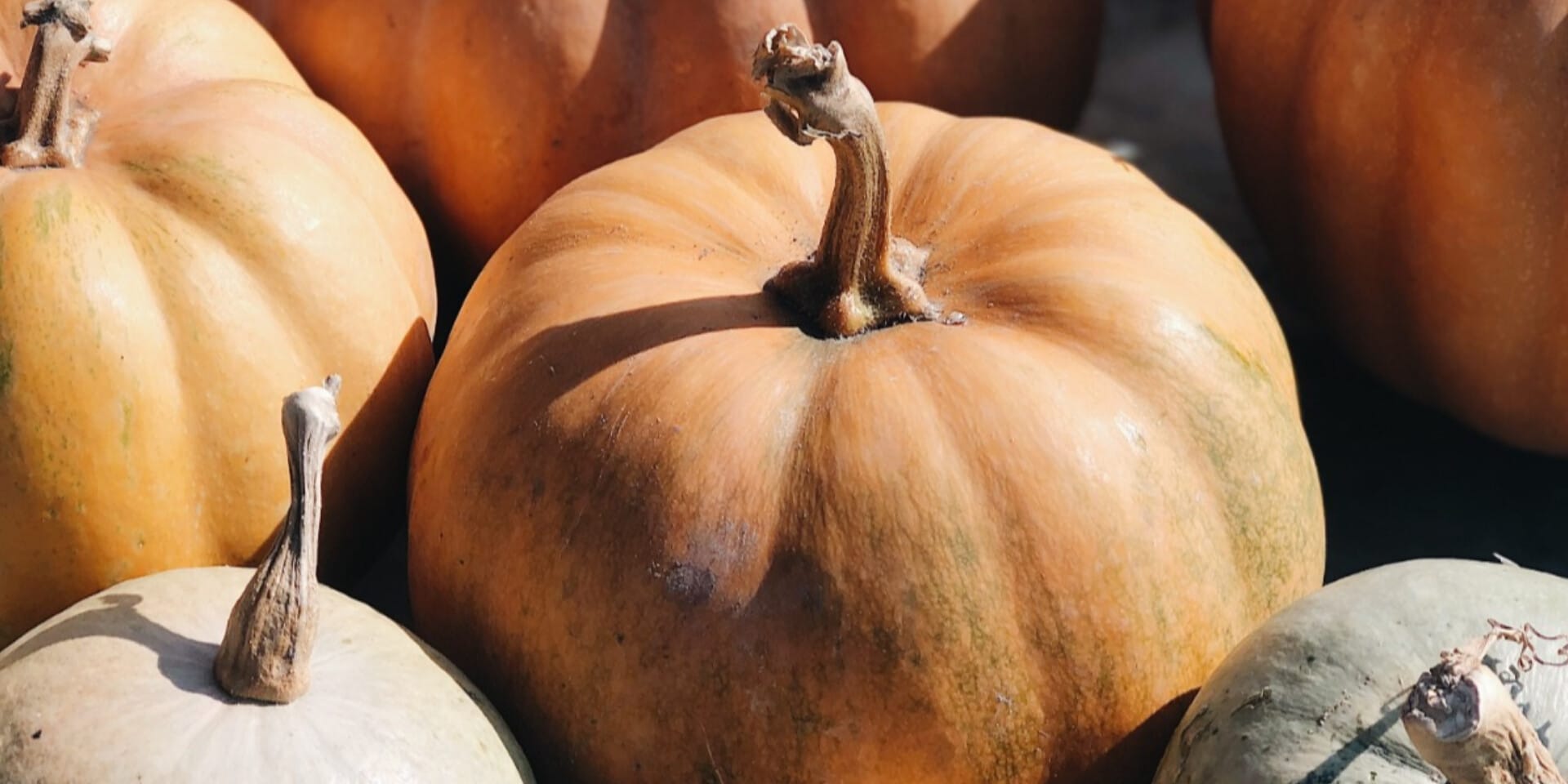 Il risotto alla zucca, il piatto d’autunno I Marie Claire