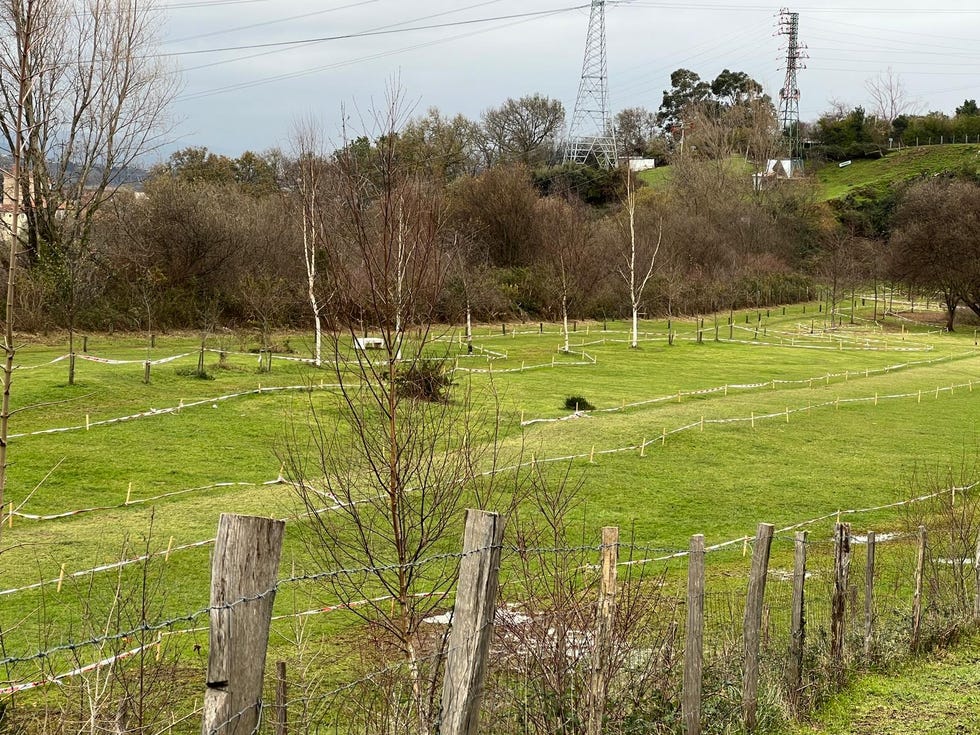 circuito campeonato de españa de cross de ortuella