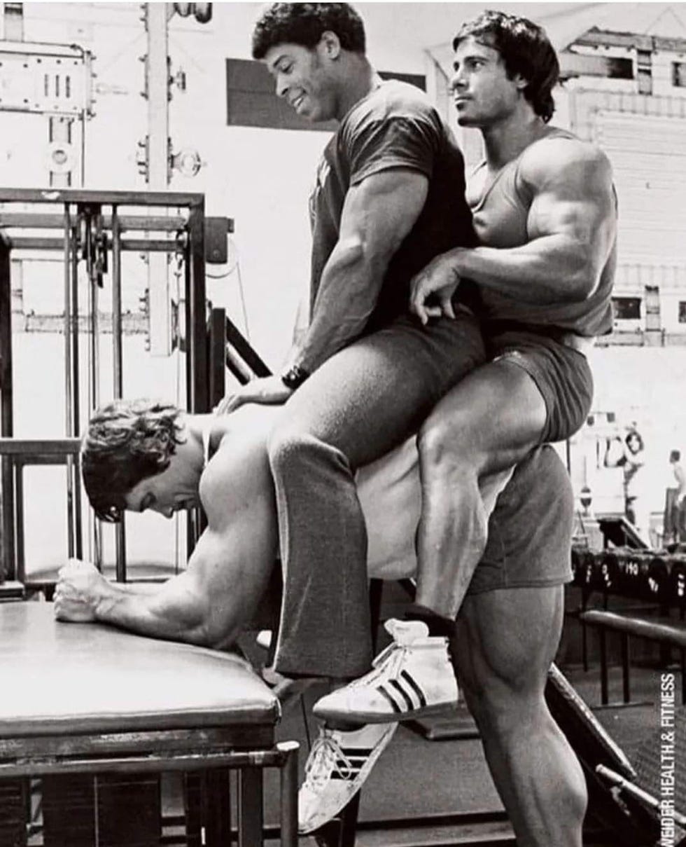 <b>arnold</b> <b>schwarzenegger</b>. 