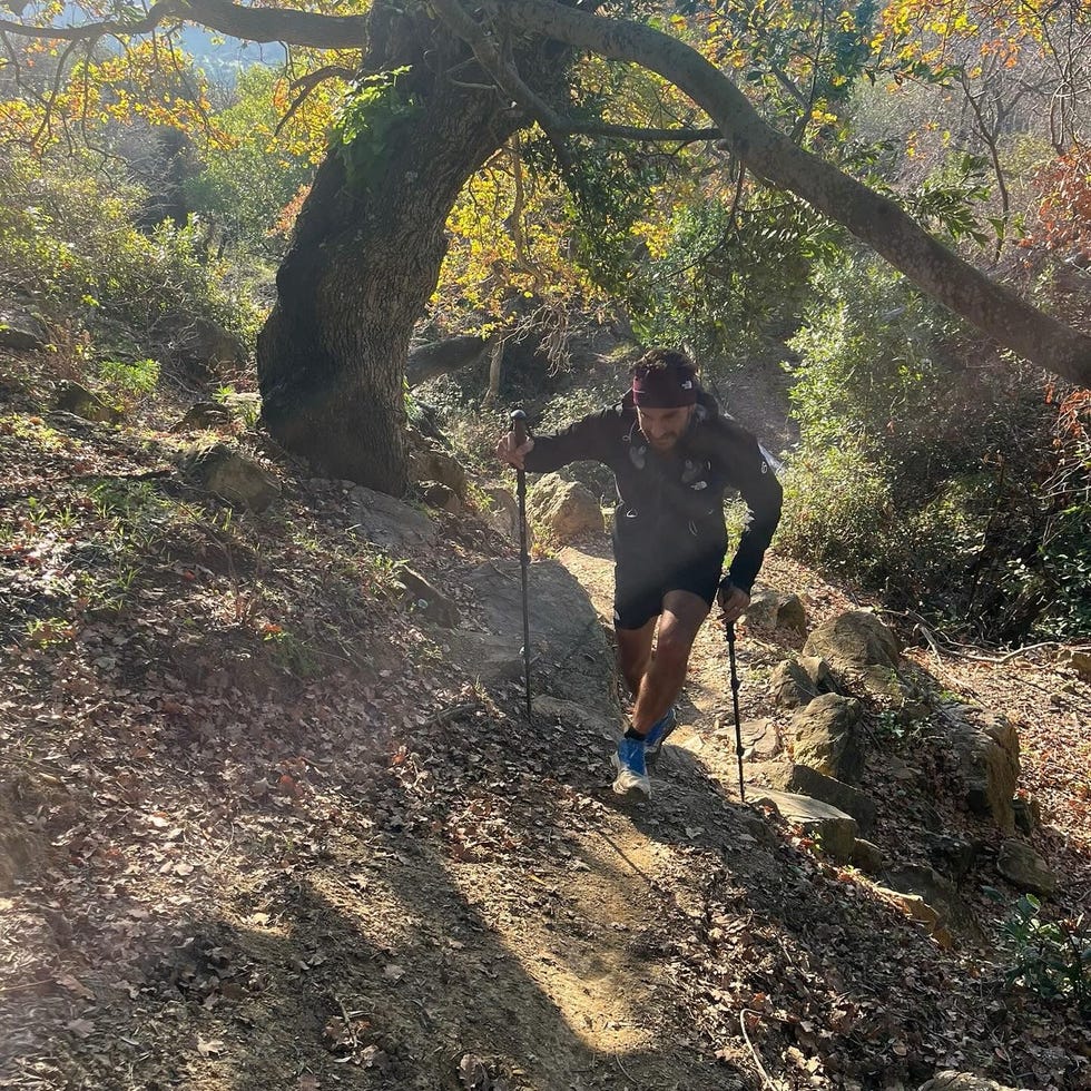 a man climbing a tree