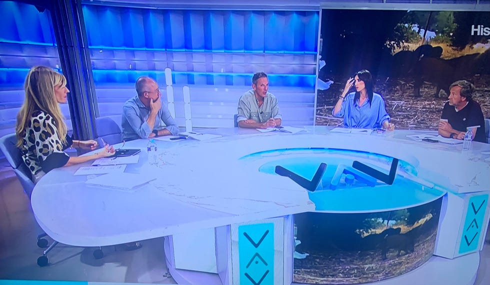 programa vamos a ver