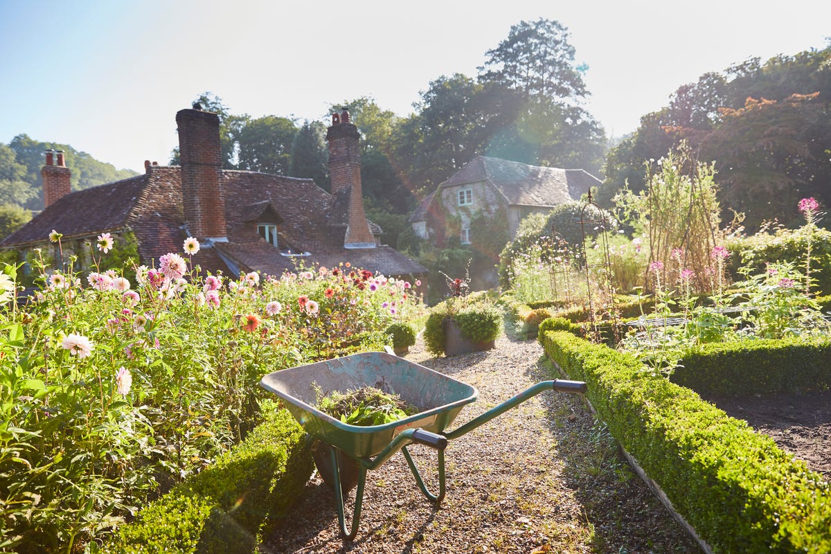 12 English Garden Ideas That Will Bring Major Beauty to Your Yard