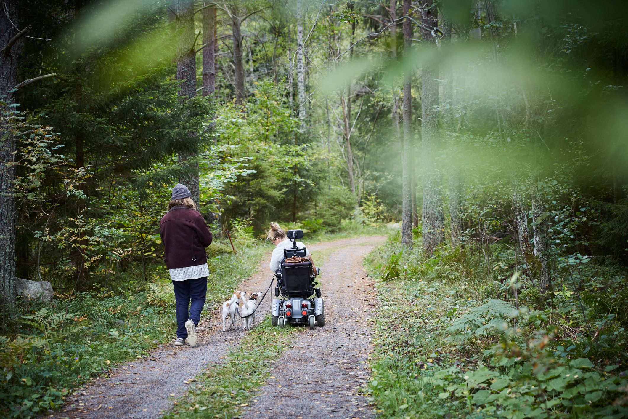 A man walks his dog, which wears a Giants jersey and jumps