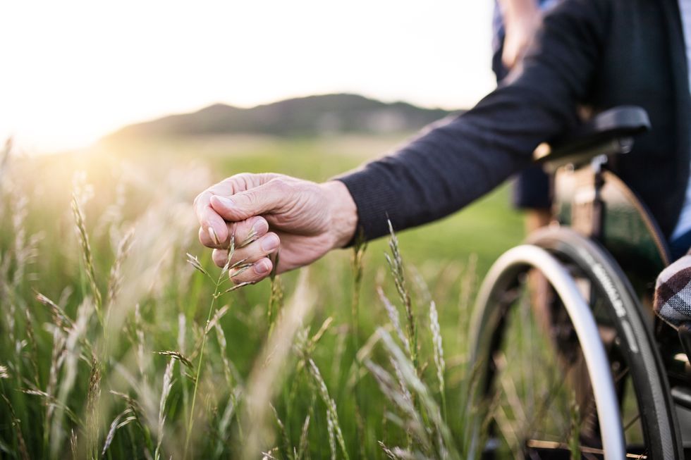 a hand of a senior man in wheelchair holding grass flower an unrecognizable adult son with his father on a walk in nature at sunset close up