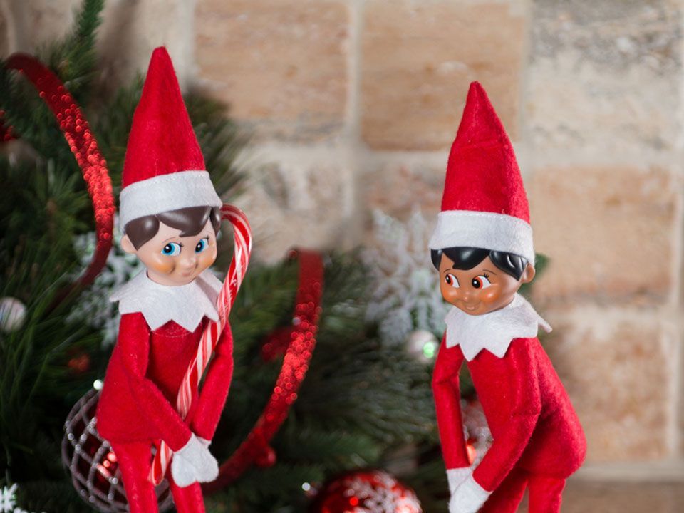 The Elf on the Shelf®: A Christmas Tradition Book & Scout Elf Collection