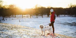 when is it too cold and dangerous to walk your dog