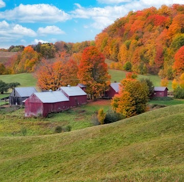 new england autumn countryside in reading, vermont, most likely well past the first day of fall given the colorful foliage